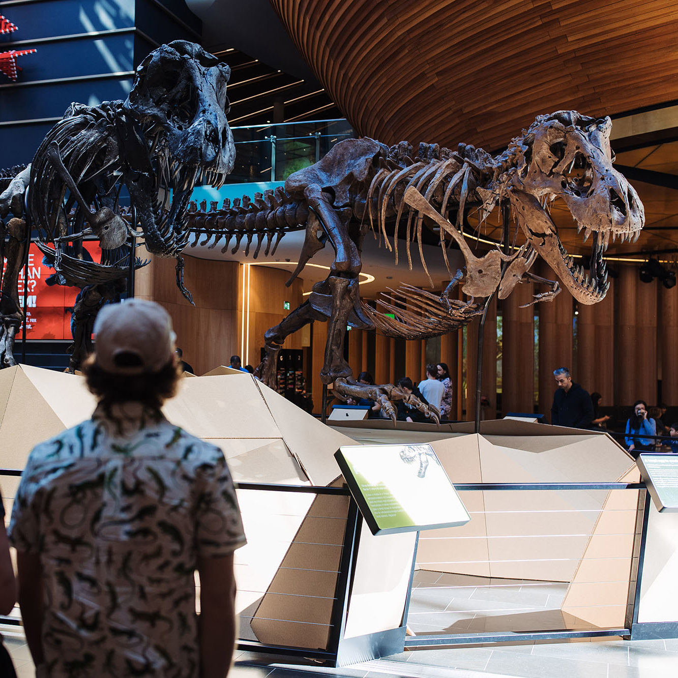 Discover Unforgettable Family Fun: Top Activities In Edmonton For Family Day